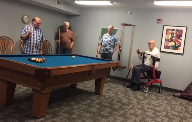 Valley View Co-op Pool Sharks